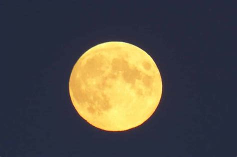 Yellow Moon Meaning And Symbolism Aka Harvest Moon