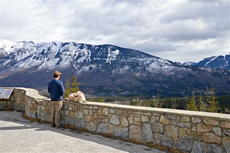 Stay in one of three scenic frontcountry campgrounds or save the set up and enjoy a night in an otentik. Kootenay National Park, British Columbia Offers Great ...