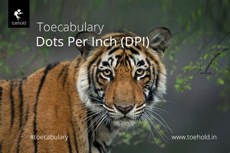 What are the usb data transfer rates and specifications? Toecabulary: Dots Per Inch (DPI) - Toehold Travel & Photography