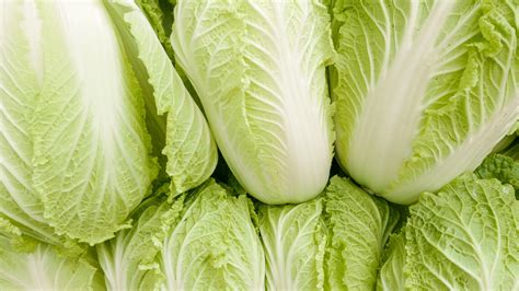 The Actual Difference Between Bok Choy And Napa Cabbage