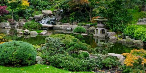 Japanese Garden Diy Diy Mini Zen Garden To Help You Relax Proflowers
