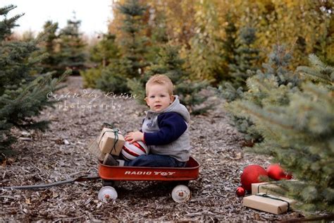 56 Best Images About Christmas Mini Session Ideas On Pinterest