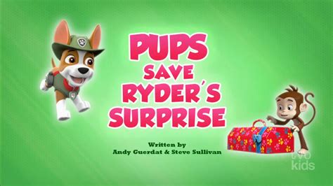 Pups Save Ryders Surprise Paw Patrol Wiki Fandom