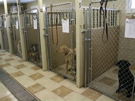 Choosing The Right Dog Boarding Facility For Your Pet Dog Boarding
