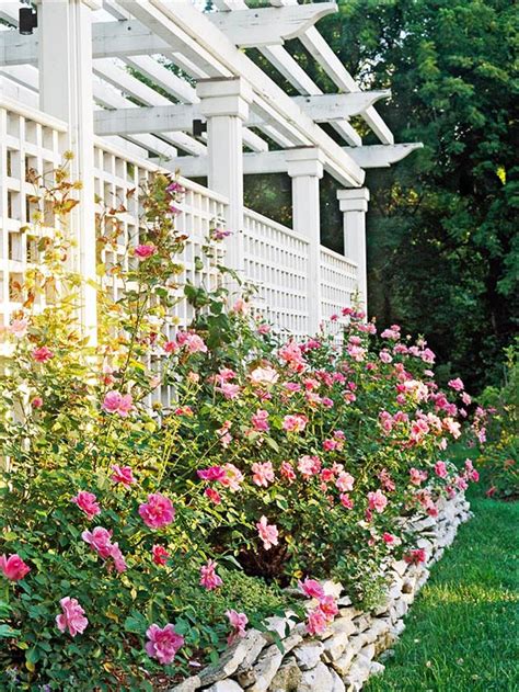 Diy garden trellis project ideas offer you a perfect opportunity to add some visual interest to your yard. 12 DIY Trellis Designs for Privacy