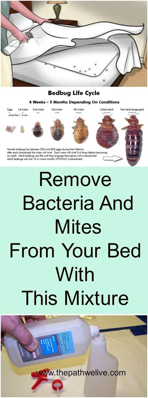 Bicarb is an alkali all round cleaner and absorbs odours in its. Remove Bacteria And Mites From Your Bed With This Mixture ...