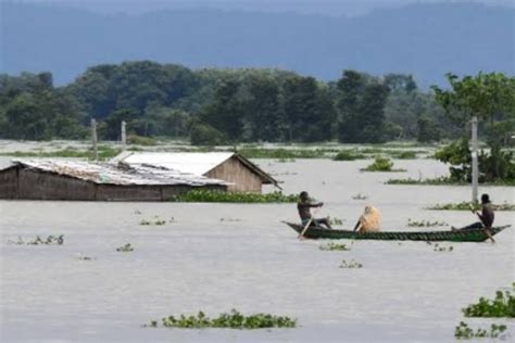 Assam Floods Update 222 Villages Affected 10321 Hectares Of Crop Land Submerged