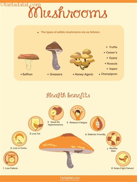 8 Super Health Benefits of Mushroom + Healthy Recipes, Tarla Dalal