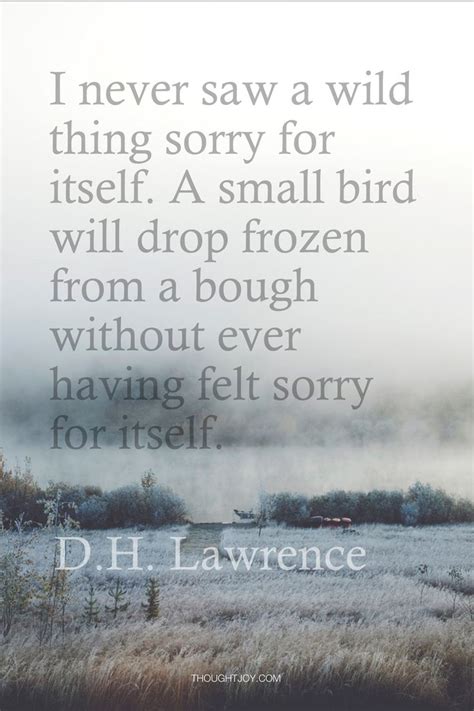 Just had a fish in a tank have his buddy fish die last night and the larger fish kept a vigal by the dying fish all day. "I never saw a wild thing feeling sorry for itself. A ...