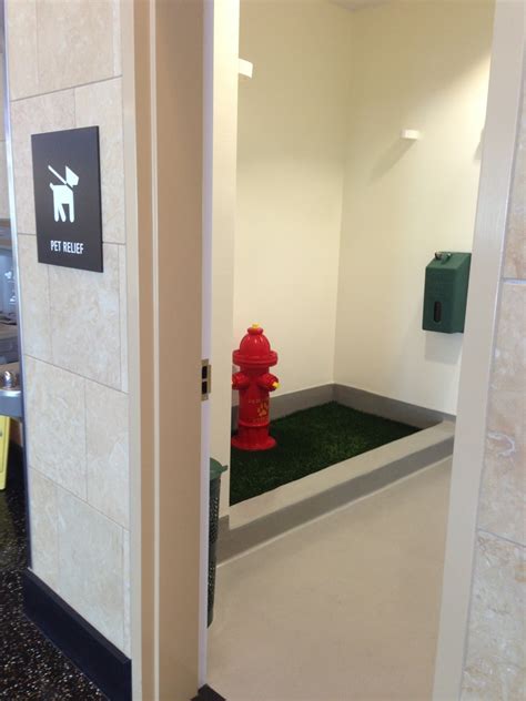 Ciqala luxury suites, san juan. San Diego airport has a doggie restroom, complete with ...