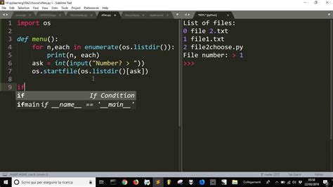 Python Code Examples 1 Open Files With Oslistdir In Python Youtube