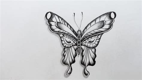 Selain itu sketsa ini juga masih sangat tipis agar kemudian dapat ditindak lanjuti dengan gambar sketsa kupu kupu 3d. Sketsa Gambar Kupu Kupu Cantik Yang Belum Diwarnai - Info Terkait Gambar