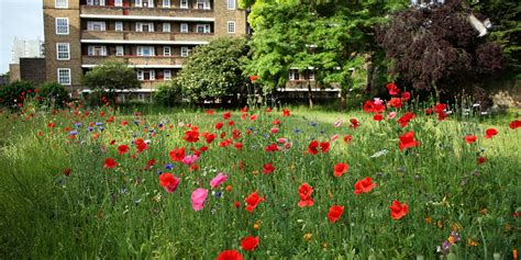 Old Paradise Gardens - Garden Museum