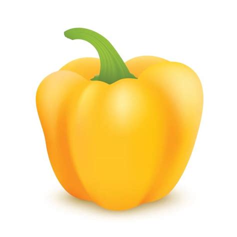 Royalty Free Yellow Bell Pepper Clip Art Vector Images And Illustrations