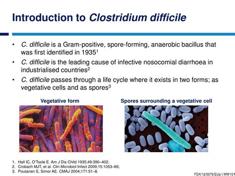 Ppt Introduction To Clostridium Difficile Infection Powerpoint