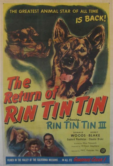 retroshd movies bycharizard el regreso de rin tin tin 1947 480p latino the return of rin tin tin