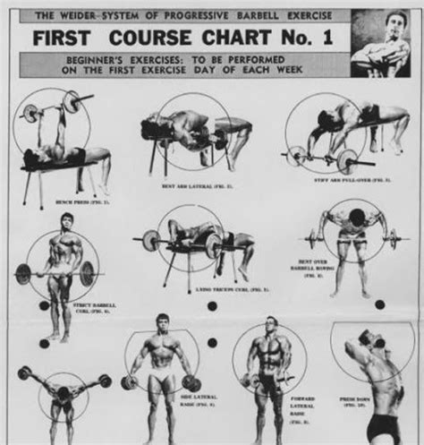 The Weider System Barbell Workout Workout Chart Bodybuilding