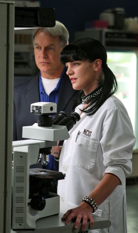 403 Error Ncis Ncis Tv Series Ncis Abby