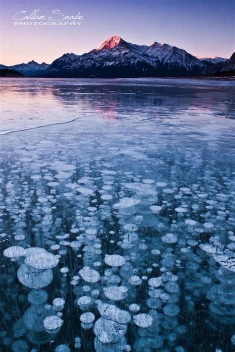 Incredible Ice Bubbles In Lake Abraham 8 Photos Funcage