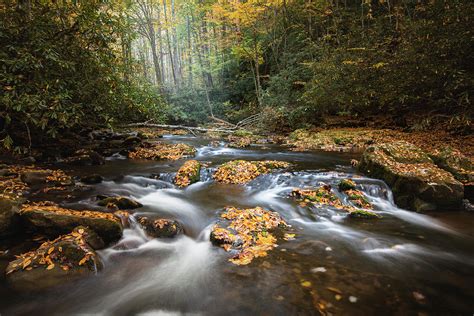 Autumn Forest Stream Photograph By Scott Slone