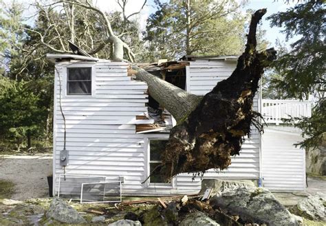 Downed Trees Cause Problems On King North Streets