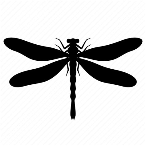 Animal Bug Dragonfly Flying Insect Nature Silhouette Icon