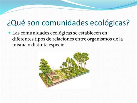 Tomidigital Clase Número 2 Comunidad Ecológica