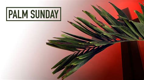 Palm Sunday Sunday Of The Passion 2020 Youtube