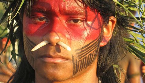 aborígenes caribes en expansiÓn primicia diario