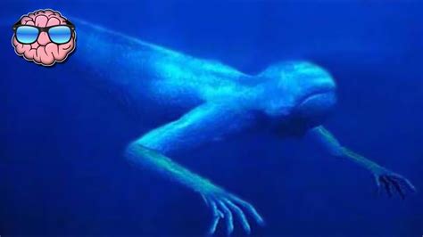 Top 10 Sea Monster Sightings Caught On Tape Youtube