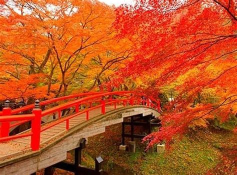 Top 5 Onsen For Fall Colors All About Japan