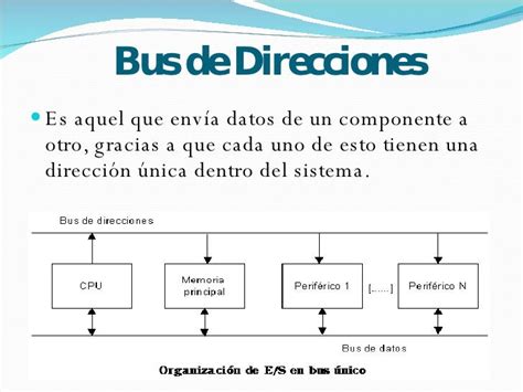 Sistema De Buses