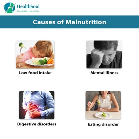 Malnutrition Causes Symptoms Diagnosis And Treatment Healthsoul