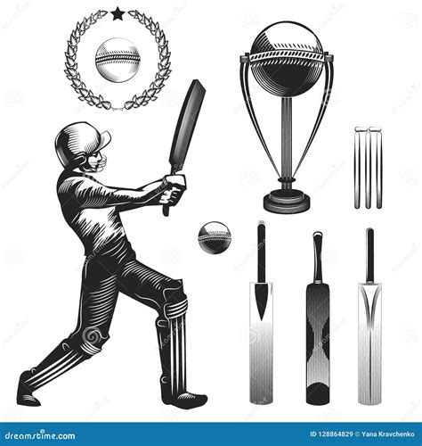 Cricket Sport Drawing Cricket