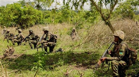 Rdf Targets More Insurgents In Mozambique Assault Kt Press
