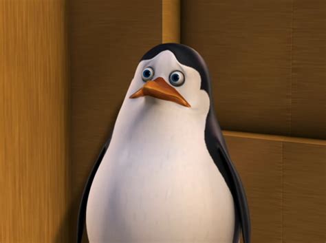 He is comforted surpsingly by maurice. Puppy Eyed Private - Penguins of Madagascar Photo (19639841) - Fanpop
