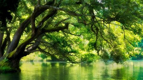Landscape Nature River Macedonia Forest Green Water Trees
