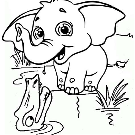 Cute Elephant Of The Crocodile River Coloring Page Mitraland