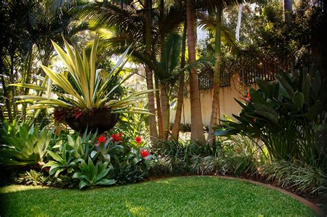 Coorparoo Tropical Feature Bowl Small Garden Landscape Design Tropical