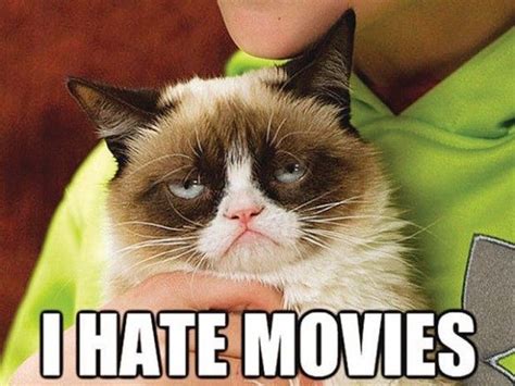 Grumpycat A Hollywood Grumpy Cat Movie Grumpy Cat Humor Cat Memes