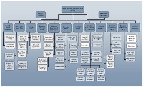 Campus Organizational Chart Kent State University