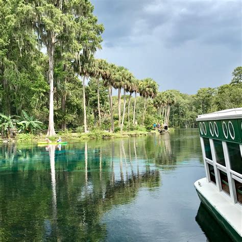 Maybe you would like to learn more about one of these? Family Getaway in Ocala, Florida - She's On The Go