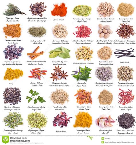Here is our ultimate list of spanish food and cooking words, to help you do your shopping, read a spanish recipe or just for studying vocabulary. Spices | Names of spices, Spices photography, Spices and herbs