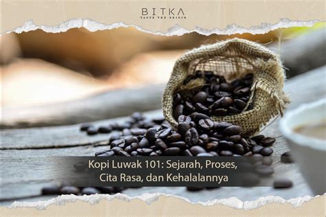 Kopi Luwak 101 Sejarah Proses Cita Rasa Dan Kehalalannya Bitka Origin Coffee Roastery