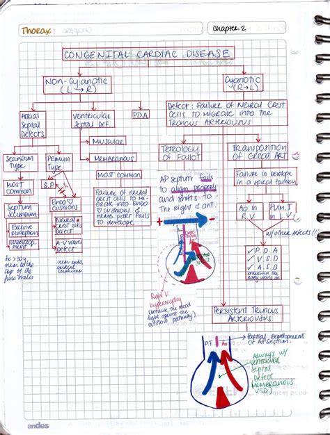 Congenital Heart Disease Nursing Care Plan Nursing Tips Nursing Study