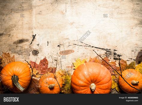 Autumn Harvest Fresh Image And Photo Free Trial Bigstock