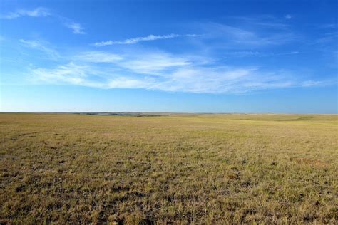 The Shortgrass Prairie Of Western Kansas Is Dominated By Two Species Of