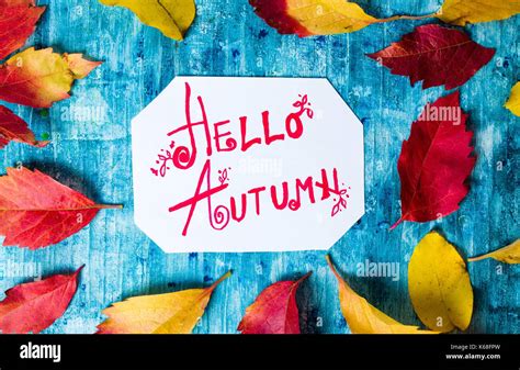 Hello Autumn Calligraphy Note With Fallen Leaves On Blue Board Stock