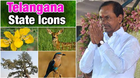 Cm Kcr Announces Telangana Four State Icons Youtube