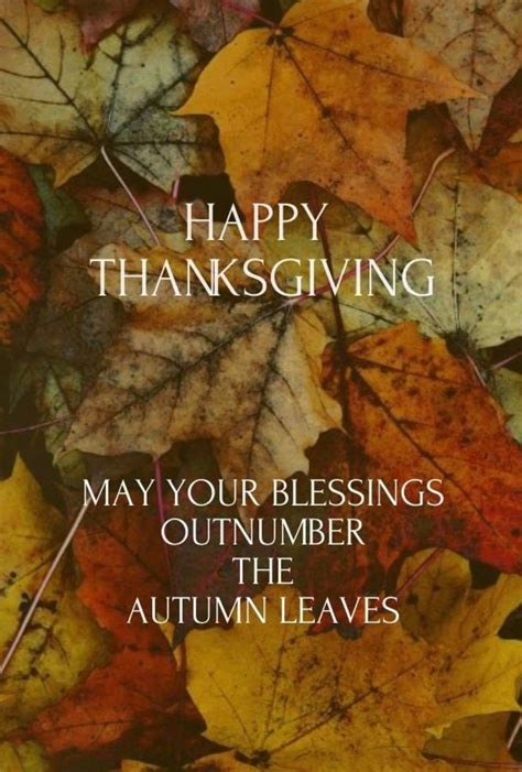 Thanksgiving | Happy thanksgiving wallpaper, Happy thanksgiving pictures, Thanksgiving blessings